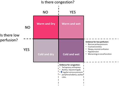 Recent and Upcoming Drug Therapies for Pediatric Heart Failure